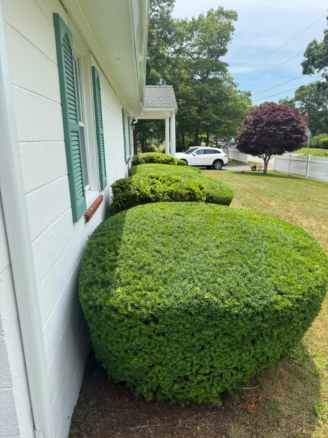 landscaping-services-1.jpeg