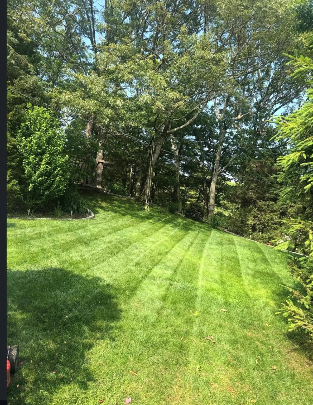 WhatsApp Image 2026-03-12 at 23.06.44 (1)