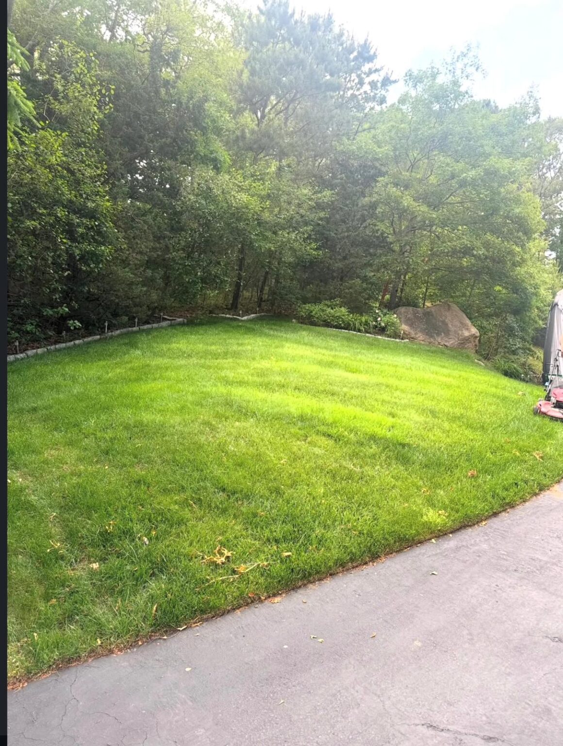 WhatsApp Image 2026-03-12 at 23.06.44 (5)